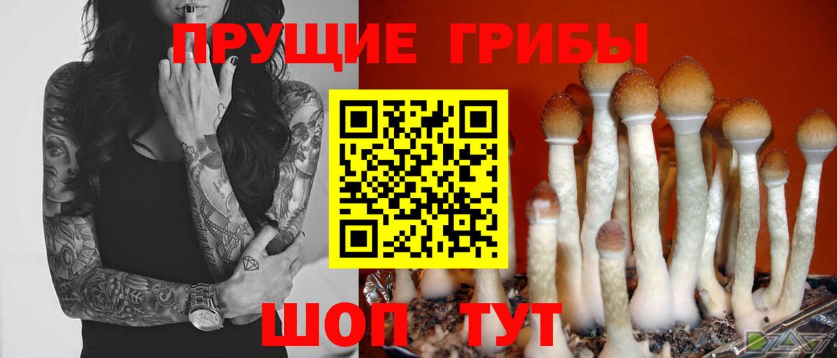 Галлюциногенные грибы MAGIC MUSHROOMS  Вход с VPN  Псилоцибиновые грибы Magic Shrooms  Кострома 
